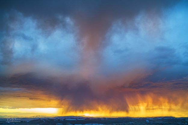 Super Virga. Photo by Dave Bell.