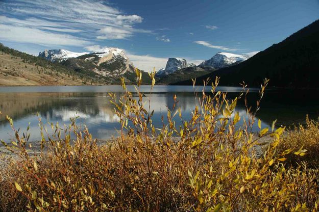 Willows Highlight Peaks. Photo by Dave Bell.