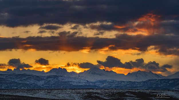 Not St. Patrick Day--Beautiful Variety. Photo by Dave Bell.