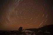 Star Tracks. Photo by Dave Bell.