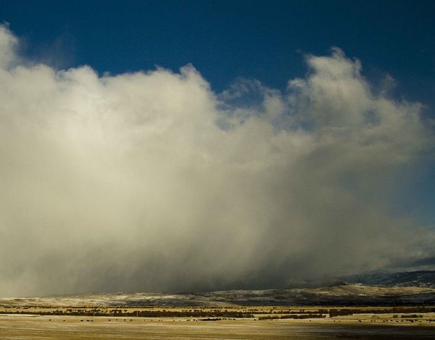 Snow Squall Working Hard. Photo by Dave Bell.