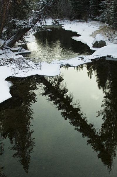 Reflecting Pool. Photo by Dave Bell.