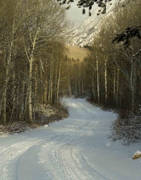 Snowy Mountain Road. Photo by Dave Bell.