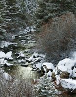 Wintry Stream. Photo by Dave Bell.