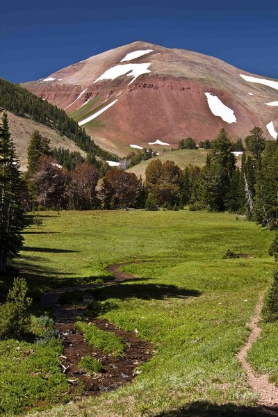 Entering Upper Straight Creek Valley. Photo by Dave Bell.