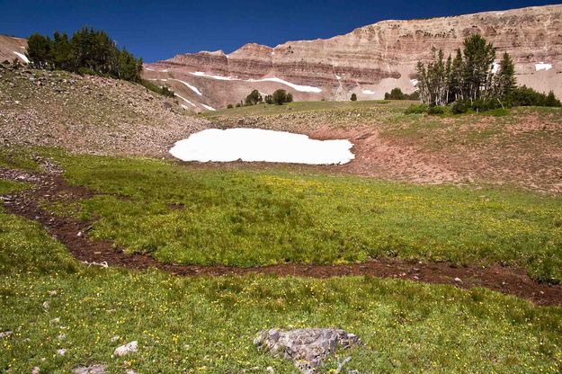 Straight Creek Basin Scenery. Photo by Dave Bell.