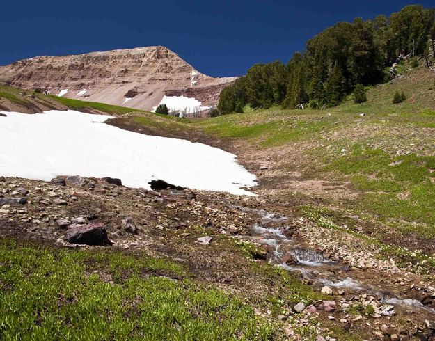 Snowmelt Stream. Photo by Dave Bell.