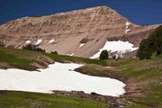 Shoulder of Mt. Coffin. Photo by Dave Bell.