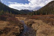 Straight Creek. Photo by Dave Bell.