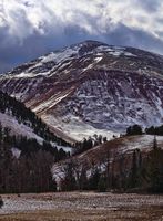 Wyoming Peak Color. Photo by Dave Bell.