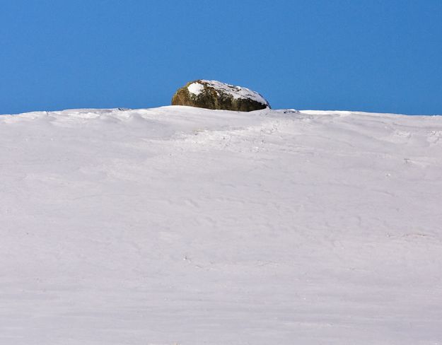 Lonely, At The Top!. Photo by Dave Bell.