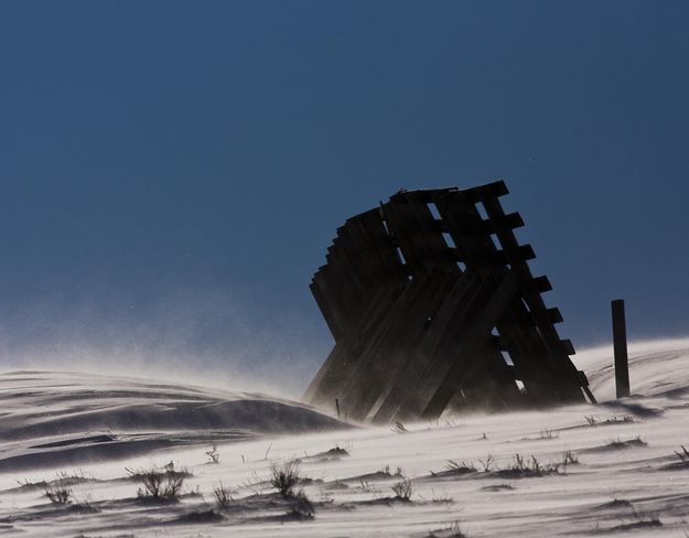 Snowfence Working Hard. Photo by Dave Bell.