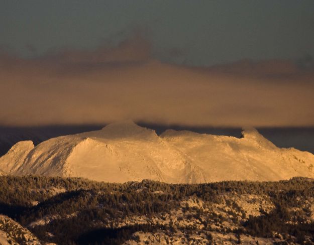 White Mountain. Photo by Dave Bell.