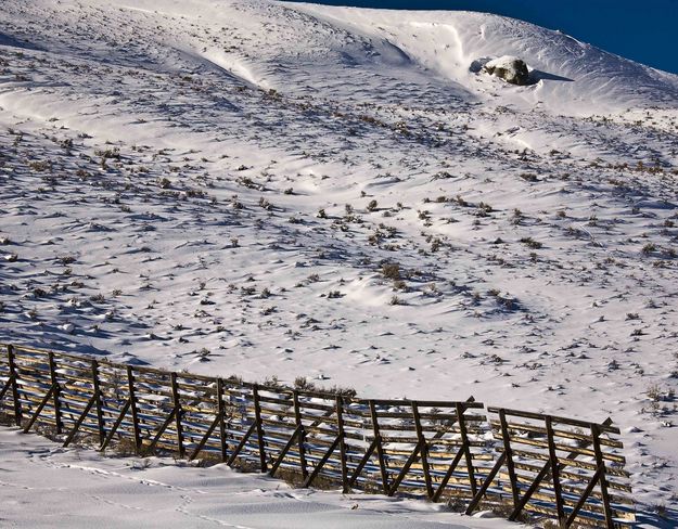 Hillside Erratic. Photo by Dave Bell.