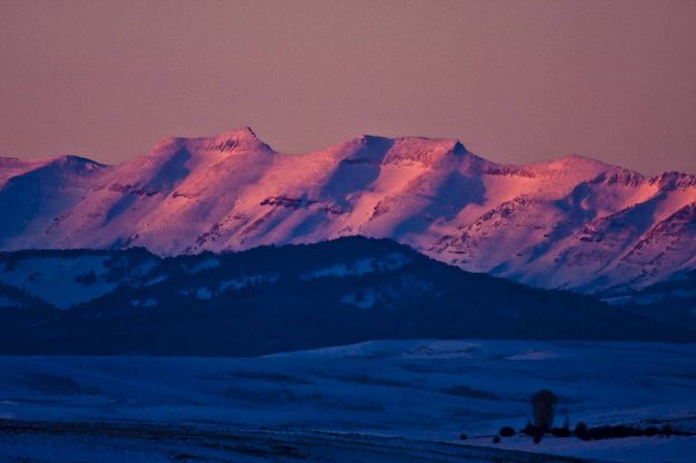 Sawtooths. Photo by Dave Bell.