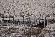 Winter Corral. Photo by Dave Bell.