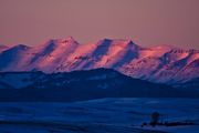 Sawtooths. Photo by Dave Bell.