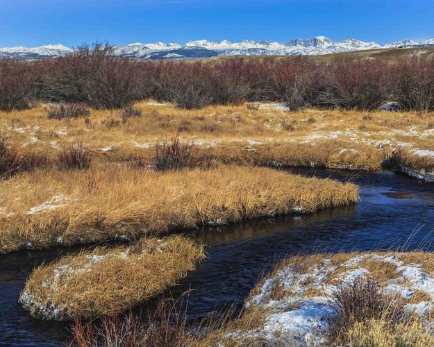 New Fork River Scenery. Photo by Dave Bell.