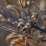 Seasons End. Photo by Dave Bell.