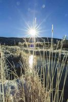 A Cold Morning Sun Explodes. Photo by Dave Bell.