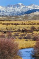 Duck Creek. Photo by Dave Bell.