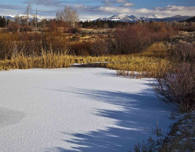 Frozen Pond. Photo by Dave Bell.