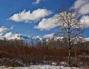 Scenery Near Moran Junction. Photo by Dave Bell.