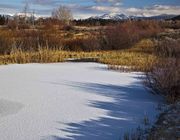 Frozen Pond. Photo by Dave Bell.