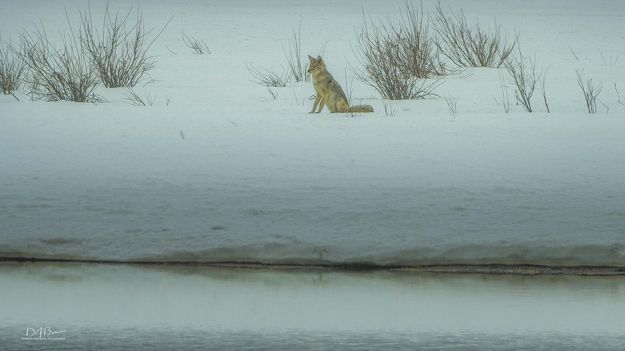 Thinking. Photo by Dave Bell.