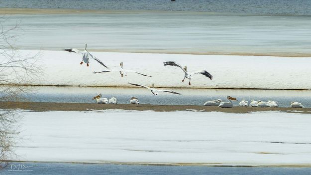 Four Landing. Photo by Dave Bell.