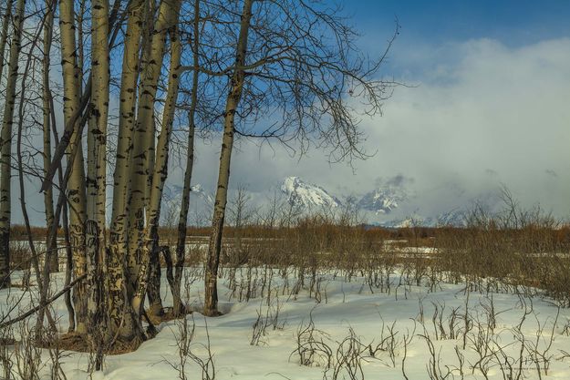 Lifting Clouds At Willow Flats. Photo by Dave Bell.