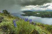 Fremont Lake Snow Flurry. Photo by Dave Bell.