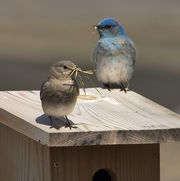 Teamwork. Photo by Dave Bell.