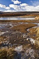 Icy Banks Along The Green River. Photo by Dave Bell.