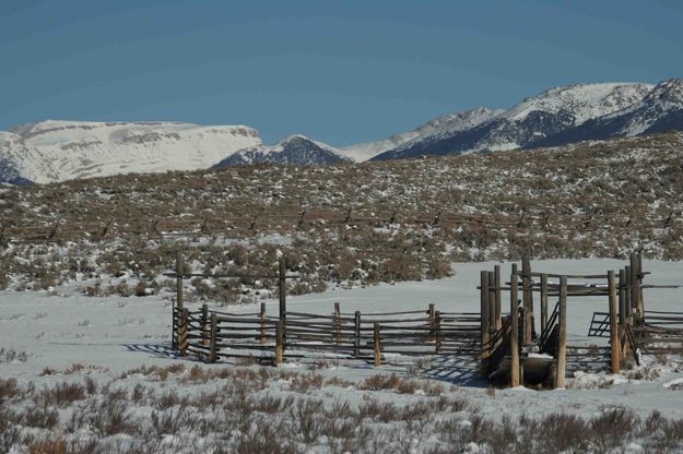 Lonely Corrals. Photo by Dave Bell.
