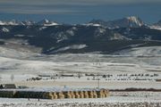 Round Bale Stack Yard. Photo by Dave Bell.