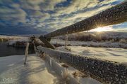 Frosty Buckrail. Photo by Dave Bell.