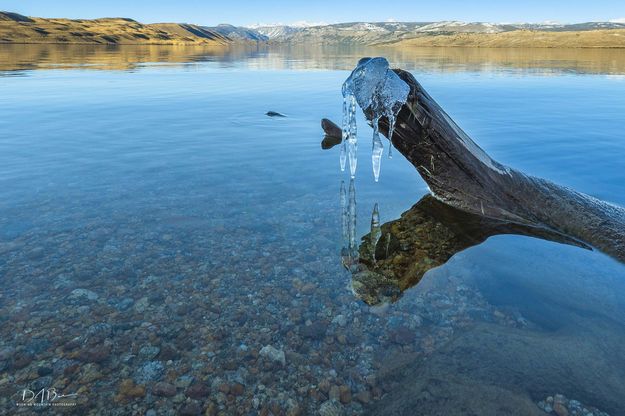 Crystal Beauty. Photo by Dave Bell.