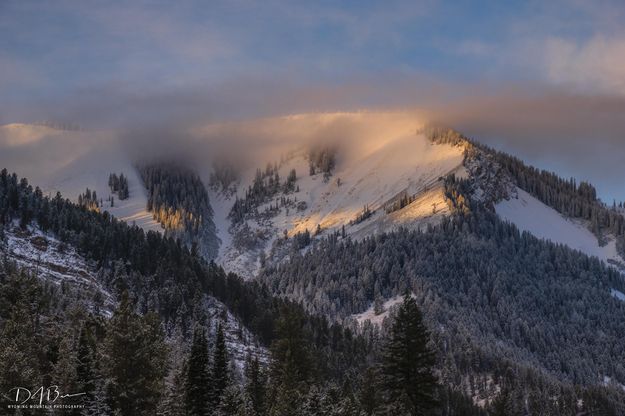 Sunrise Fog. Photo by Dave Bell.