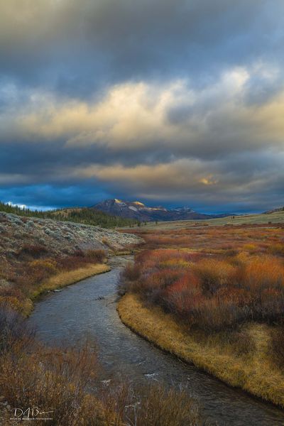 Gentle Curve. Photo by Dave Bell.