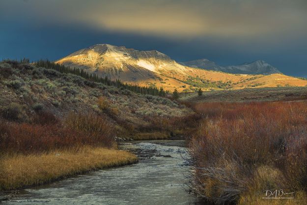 North Cottonwood Creek. Photo by Dave Bell.