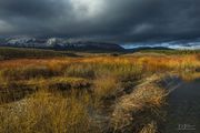 Cottonwood Beaver Dam. Photo by Dave Bell.