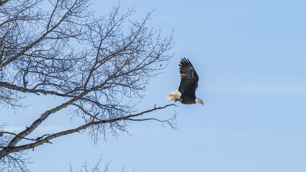 . Photo by Dave Bell.