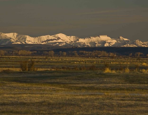 Daniel Valley Sunrise. Photo by Dave Bell.