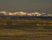 Daniel Valley Sunrise. Photo by Dave Bell.