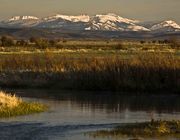 Horse Creek. Photo by Dave Bell.