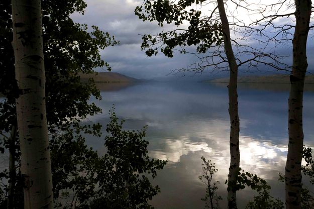 Gloomy Morning. Photo by Dave Bell.