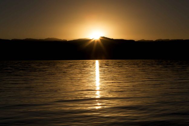 Golden Sunrise. Photo by Dave Bell.