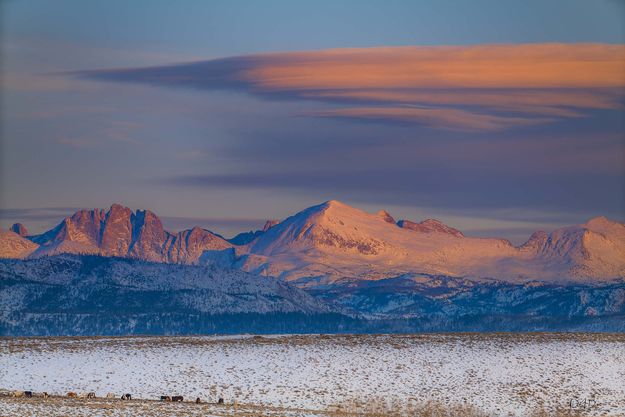 Sunset Lenticular. Photo by Dave Bell.