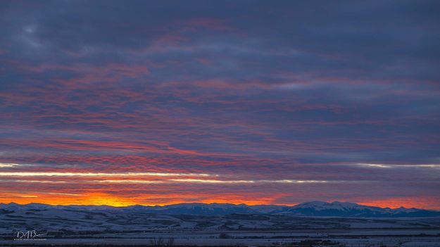 Magnificent Sunset-Feb 1. Photo by Dave Bell.